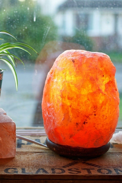 The Illumination Collection